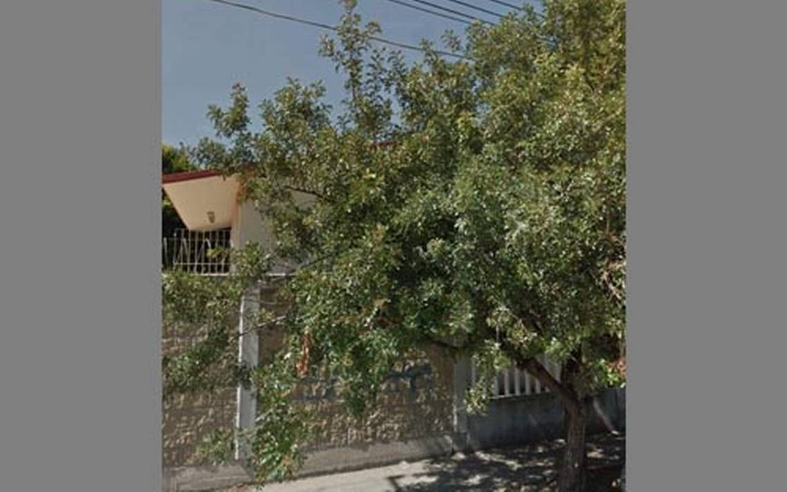 Piden poda de árbol que con su ramaje alcanza cables de energía eléctrica -  El Sol de Salamanca | Noticias Locales, Policiacas, de México, Guanajuato y  el Mundo