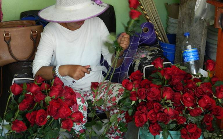 Para este 10 de mayo la docena de rosas se cotiza hasta en 100 pesos - El  Sol de Irapuato | Noticias Locales, Policiacas, de México, Guanajuato y el  Mundo