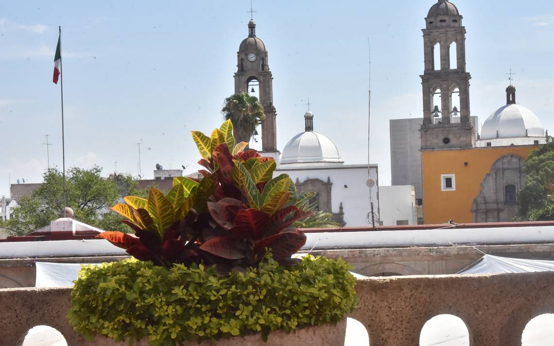 Se suma Irapuato a Reto Naturalista para conservar flora y fauna local