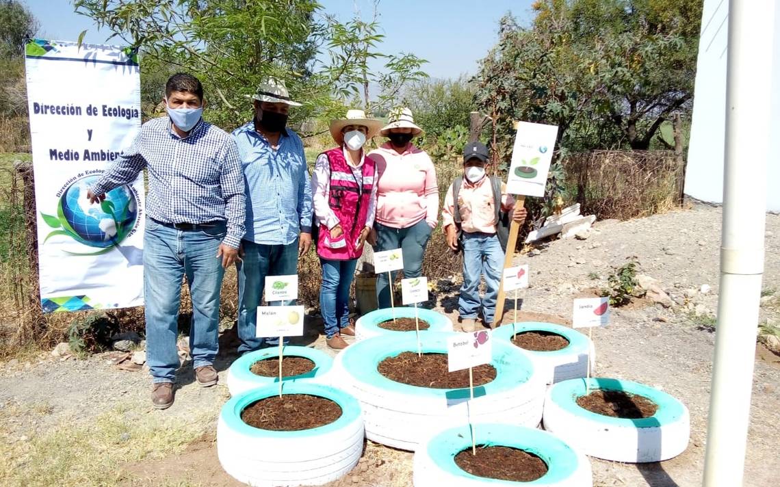 Fibra de coco para tus plantas - Diario de Querétaro  Noticias Locales,  Policiacas, de México, Querétaro y el Mundo