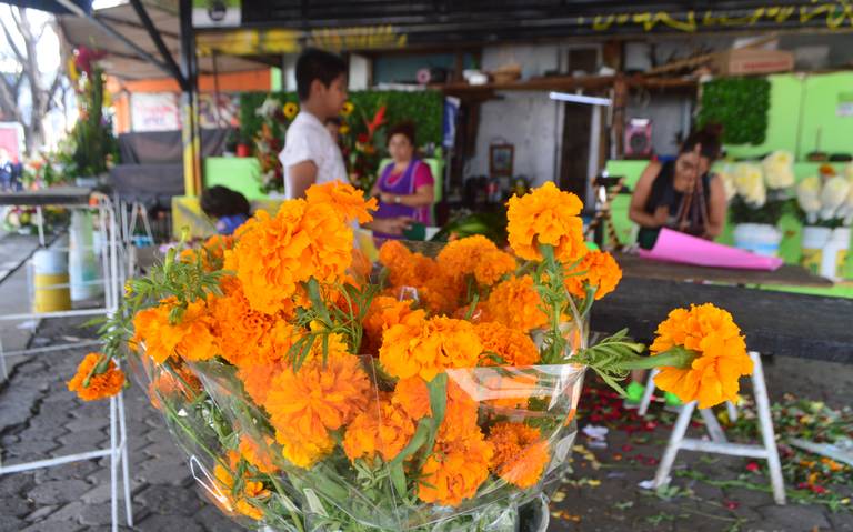 Venta de flores para muertos está caída - El Sol de Irapuato | Noticias  Locales, Policiacas, de México, Guanajuato y el Mundo