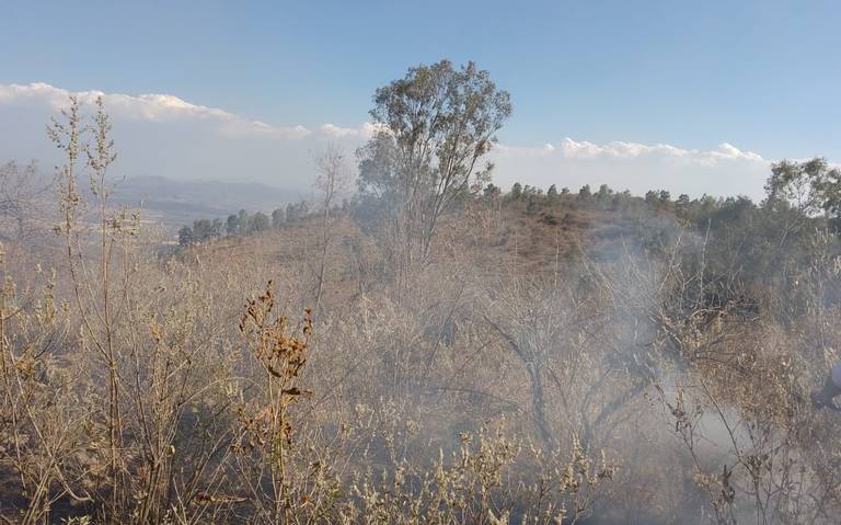 Interviene Protección Civil para controlar incendio en cerro Llano de Lobos  - El Sol de Irapuato | Noticias Locales, Policiacas, de México, Guanajuato  y el Mundo